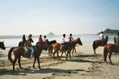 une ballade à cheval au bord de l'eau