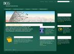 The Boston Consulting Group