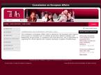  ILAE Commission on European Affairs