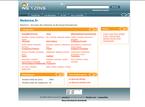 Netzine
