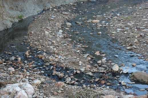 بني أوليشك / الدريوش : مخلفات معصرة زيتون " حديفة " تحول حياة عدد من الأسر إلى جحيم بجماعة وردانة بني أوليشك / الدريوش : مخلفات معصرة زيتون " حديفة " تحول حياة عدد من الأسر إلى جحيم بجماعة وردانة