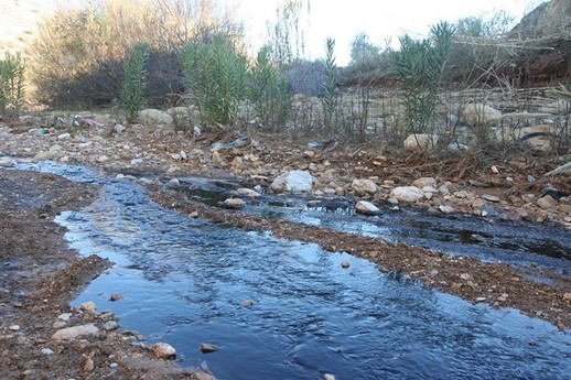 بني أوليشك / الدريوش : مخلفات معصرة زيتون " حديفة " تحول حياة عدد من الأسر إلى جحيم بجماعة وردانة
