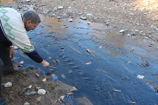 بني أوليشك / الدريوش : مخلفات معصرة زيتون " حديفة " تحول حياة عدد من الأسر إلى جحيم بجماعة وردانة بني أوليشك / الدريوش : مخلفات معصرة زيتون " حديفة " تحول حياة عدد من الأسر إلى جحيم بجماعة وردانة