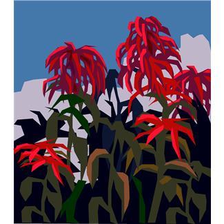 Microsoft Office Microsoft Office