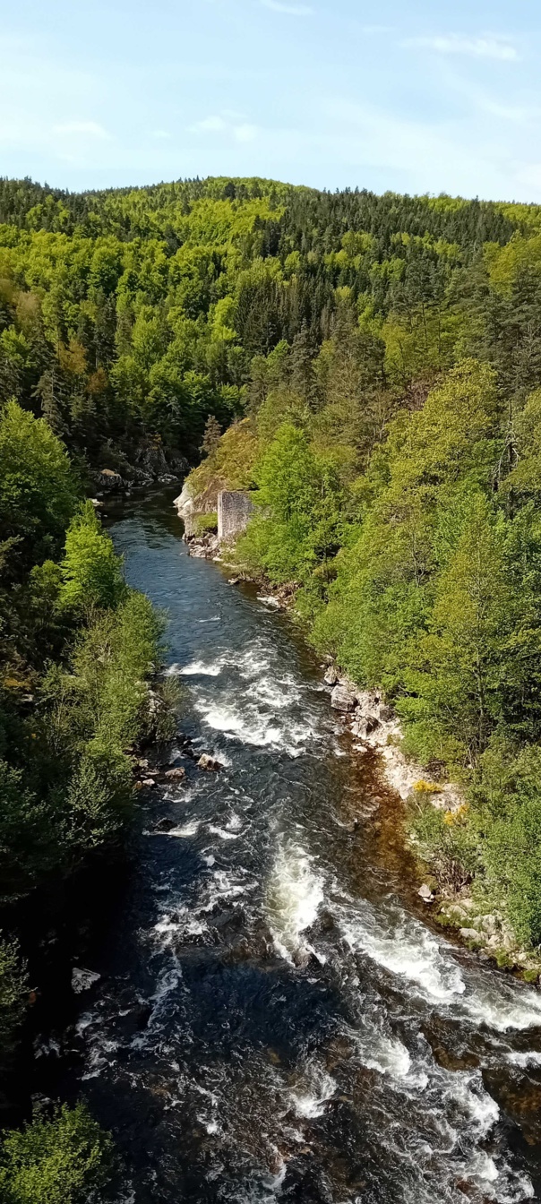 2024 05 26 Train vapeur (photos François) 2024 05 26 Train vapeur (photos François)