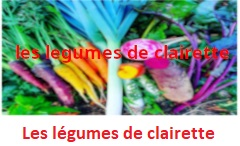 http://www.les-legumes-de-clairette.fr/
