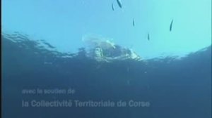 ACTIVITES - ARASM - 2008