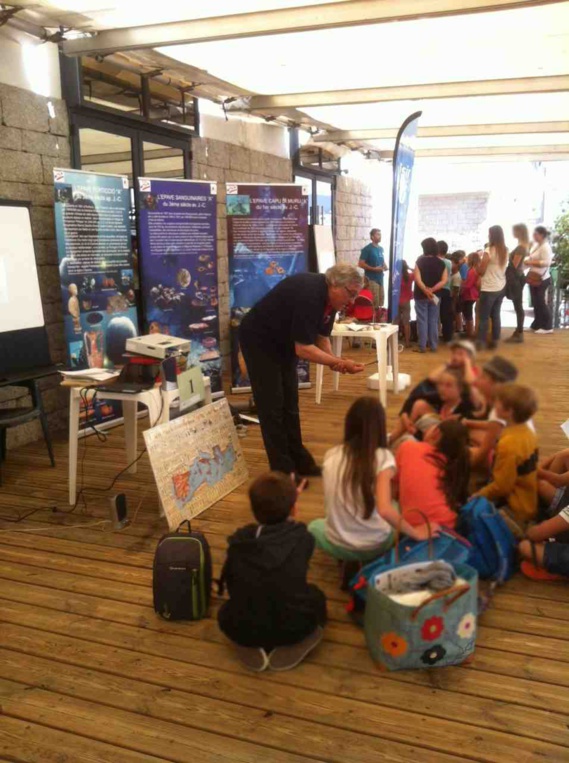 RAPPORT D’ACTIVITÉS 2016 RAPPORT D’ACTIVITÉS 2016