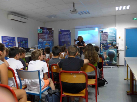 RAPPORT D’ACTIVITÉS 2016 RAPPORT D’ACTIVITÉS 2016