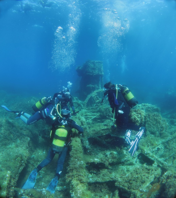 RAPPORT D’ACTIVITÉS 2016 RAPPORT D’ACTIVITÉS 2016