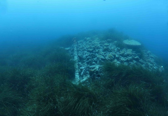 RAPPORT D’ACTIVITÉS 2016 RAPPORT D’ACTIVITÉS 2016