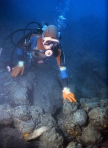 LE VENGEUR, UNE ÉPAVE NAPOLÉONIENNE DANS LE PORT DE L'AMIRAUTÉ LE VENGEUR, UNE ÉPAVE NAPOLÉONIENNE DANS LE PORT DE L'AMIRAUTÉ