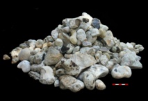 SONDAGE ARCHÉOLOGIQUE DANS LE MOUILLAGE DE COTI-CHIAVARI SONDAGE ARCHÉOLOGIQUE DANS LE MOUILLAGE DE COTI-CHIAVARI