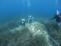 RAPPORT D’ACTIVITÉS 2018