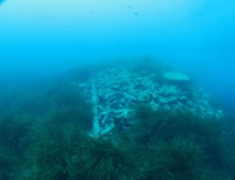 Fouilles archéologiques sous-marines en Corse Fouilles archéologiques sous-marines en Corse