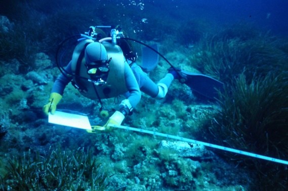 EPAVES ANTIQUES DU GOLFE D'AJACCIO EPAVES ANTIQUES DU GOLFE D'AJACCIO