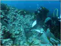 RAPPORT D'ACTIVITÉS 2019 RAPPORT D'ACTIVITÉS 2019