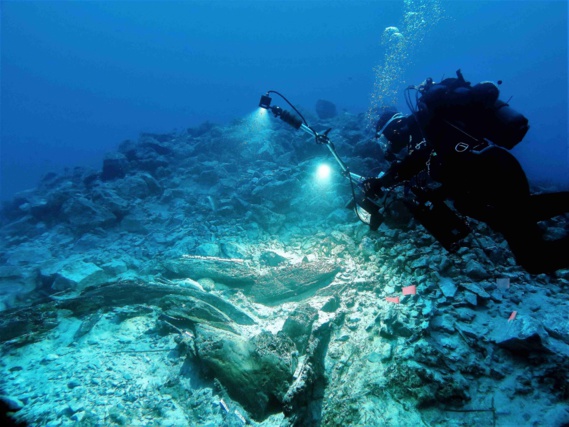 RAPPORT D'ACTIVITES 2020 RAPPORT D'ACTIVITES 2020