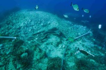 RAPPORT D'ACTIVITES 2021 RAPPORT D'ACTIVITES 2021