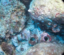 RAPPORT D'ACTIVITES 2021 RAPPORT D'ACTIVITES 2021