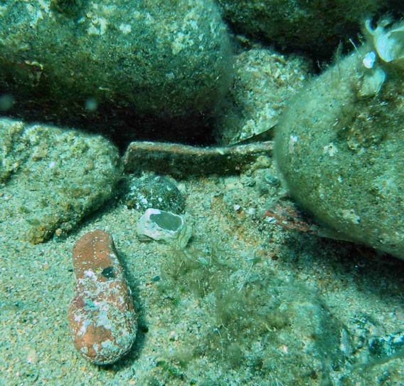 Article n°76 Article n°76