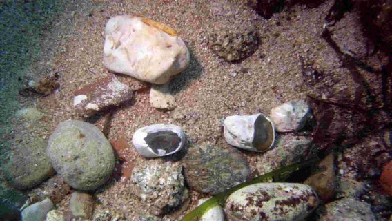 RAPPORT D'ACTIVITES 2014