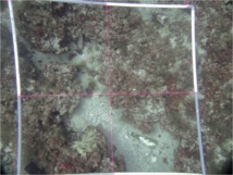 RAPPORT D'ACTIVITES 2023 RAPPORT D'ACTIVITES 2023