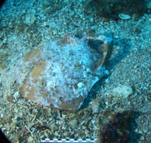 RAPPORT D'ACTIVITES 2023 RAPPORT D'ACTIVITES 2023