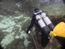 RAPPORT D'ACTIVITES 2023 RAPPORT D'ACTIVITES 2023