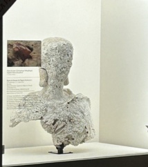 RAPPORT D'ACTIVITES 2023 RAPPORT D'ACTIVITES 2023