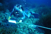 U STRATU DI L'ASTE DI PIOMBU SANGUINARI "B" U STRATU DI L'ASTE DI PIOMBU SANGUINARI "B"