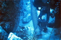 L'épave Capu di Muru "A" L'épave Capu di Muru "A"