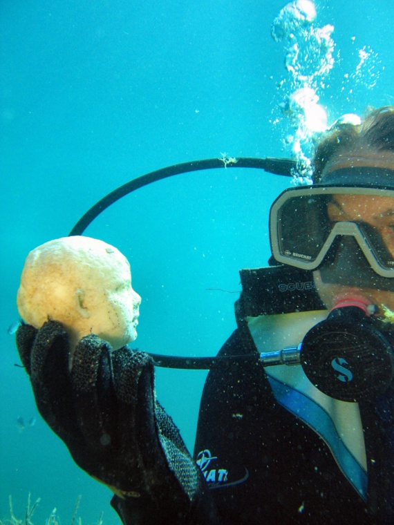 RAPPORT D’ACTIVITÉS 2015 