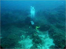 RAPPORT D'ACTIVITES 2025