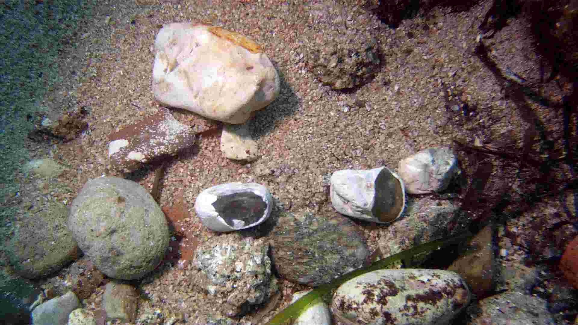 RAPPORT D'ACTIVITES 2014