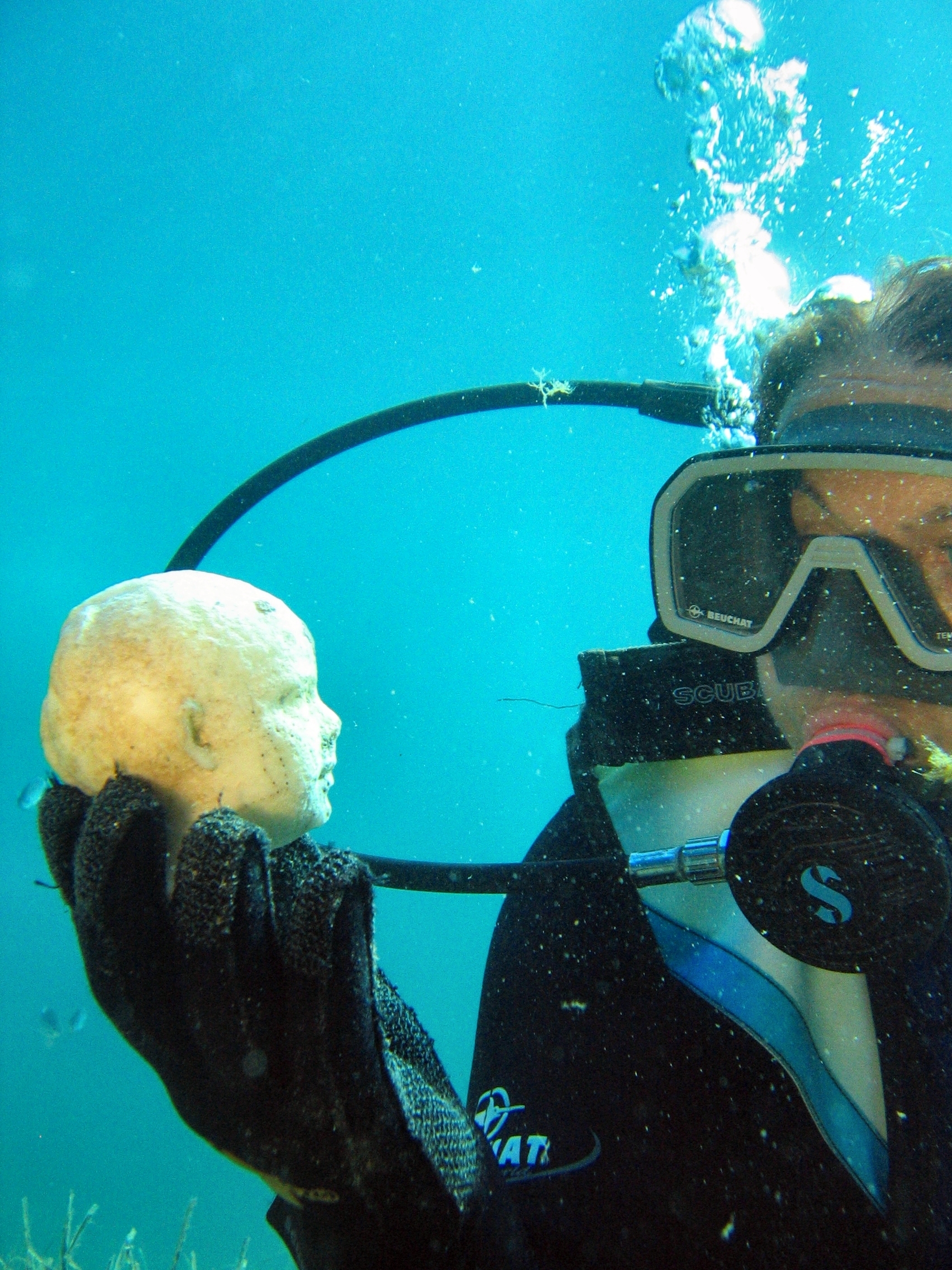 RAPPORT D’ACTIVITÉS 2015 