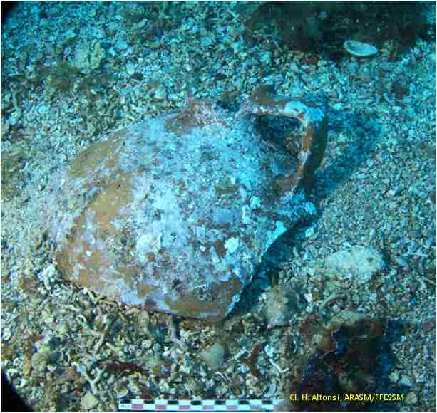 RAPPORT D'ACTIVITES 2024