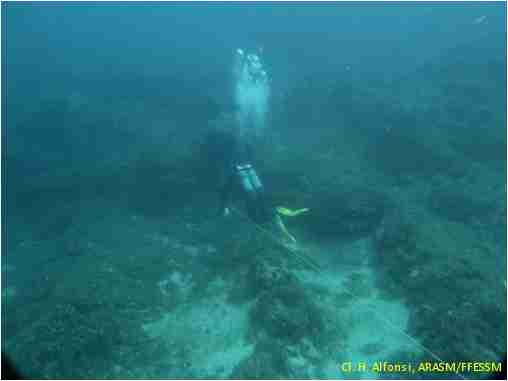 RAPPORT D'ACTIVITES 2024