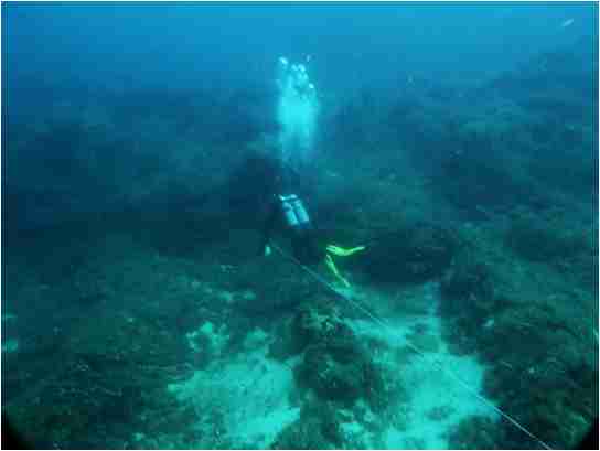 RAPPORT D'ACTIVITES 2025