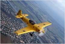 Simon et son monstre jaune !