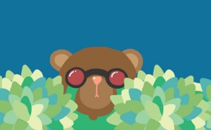 CC Flickr littlebirth