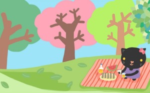 Félicitations, votre site est en ligne !