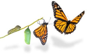 4.70 Le sujet à l'épreuve de la désinstitutionnalisation