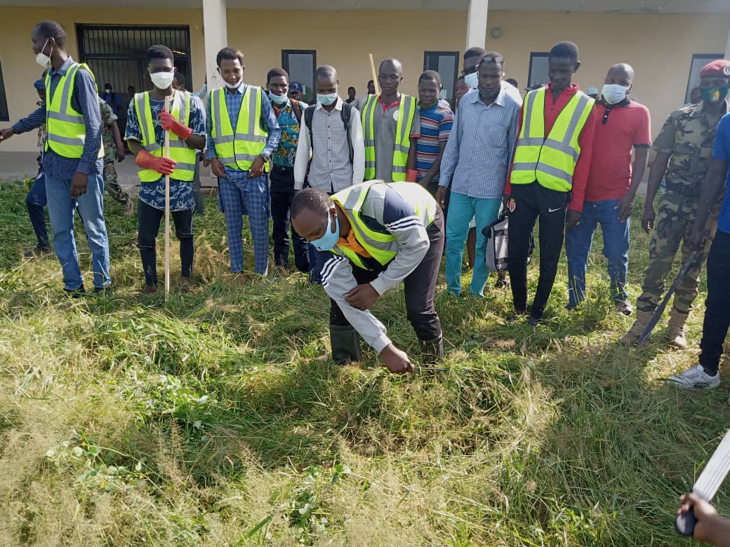 Tchad : le campus universitaire de Toukra nettoyé par des jeunes