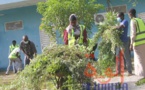 Tchad : des jeunes volontaires nettoient l'Université virtuelle pour faciliter la reprise