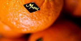 Verdict de la Cour Européenne de Justice : un froid sibérien s'est abattu sur le polisario et son sponsor algérien. Verdict de la Cour Européenne de Justice : un froid sibérien s'est abattu sur le polisario et son sponsor algérien.