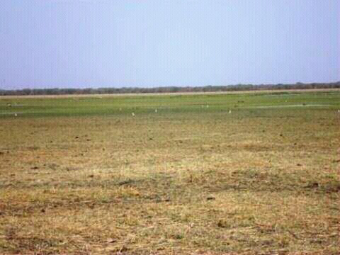 La plaine de Gara. Alwihda Info/M.A.