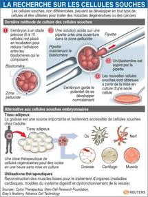 Barack Obama relance la recherche sur les cellules souches