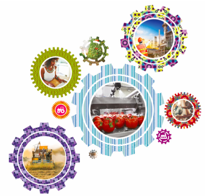 Tchad : Amplifier les réformes structurelles pour préserver la stabilité macroéconomique en 2017