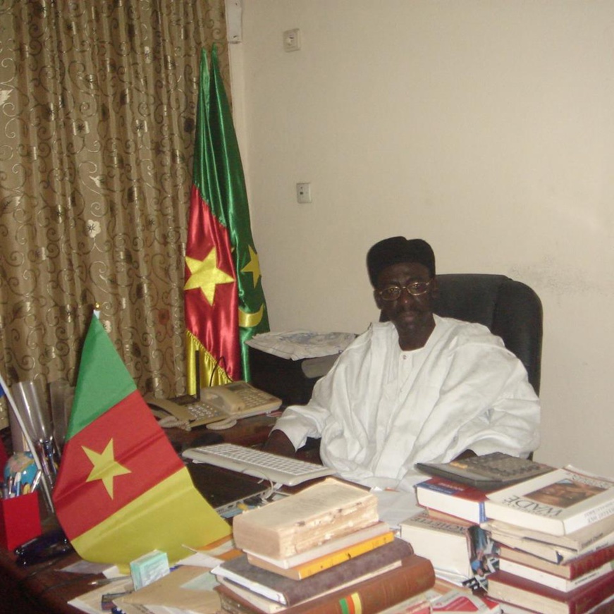 Vodafone: "Un danger pour le Cameroun et le Royaume des Pays-Bas"?